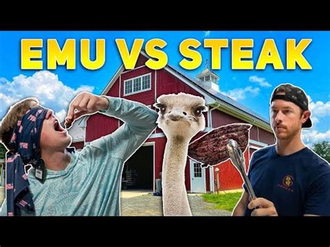 Wild Game Blindfold Taste Test Challenge Emu Vs Steak Cook Off