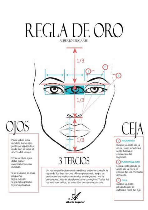 Trucos Para Unas Cejas Perfectas Alberto Dugarte