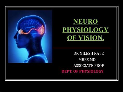 NEUROPHYSIOLOGY OF VISION