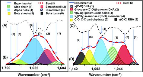 The Process Of Spectral Deconvolution A Second Derivative Spectra Of