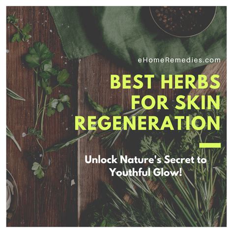 Best Herbs For Skin Regeneration: Unlock Nature's Secret To Youthful Glow!