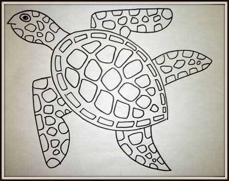 How To Draw A Sea Turtle Step By Step