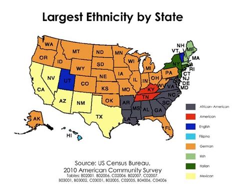 The American Mosaic Map Of Americas Largest Ethnic Groups American