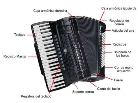 Introducir Images Partes Del Acordeon Abzlocal Mx