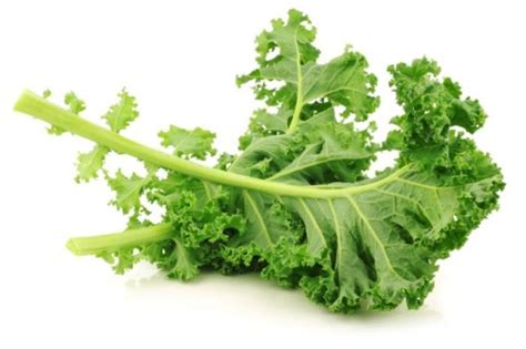 Kale clipart 20 free Cliparts | Download images on Clipground 2024