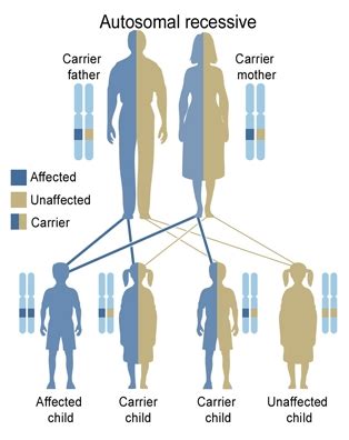 Differentiating between Genetic Disorders Caused by Chromosomal Changes ... 