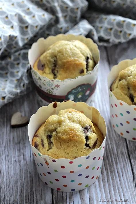 Muffins Marbr S Chocolat Vanille Recette De Lolo Et Sa Tambouille