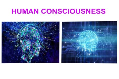 What Is Human Consciousness Nepal Learn More With Us