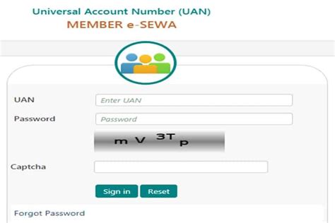 EPF Log In: How To Register, Sign In, Check Balance, Passbook On EPFO ... 