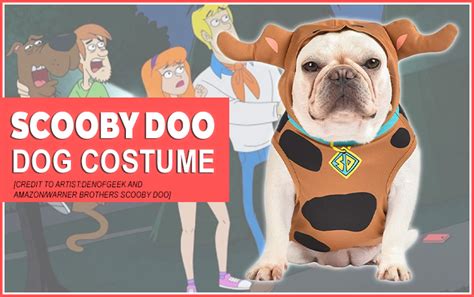 Scooby Doo Dog Costume - Unleash the Mystery Solver! - Dogbells