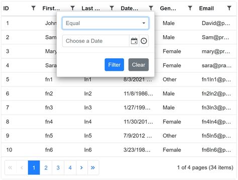 Asp Net Core Blazor Datagrid Filters