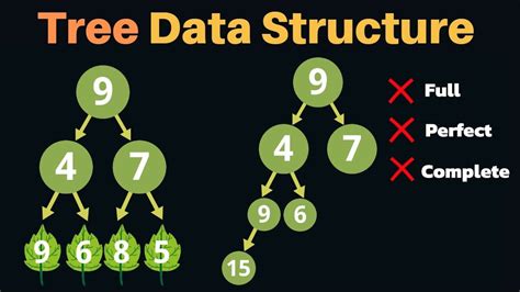 Tree In Data Structure Introduction To Binary Tree With Animation In