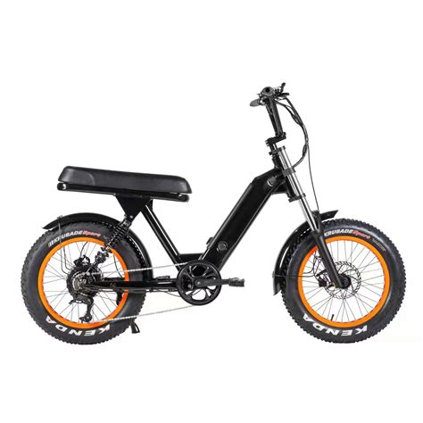 direct  factory usa warehouse  stock electric bicycle  sales