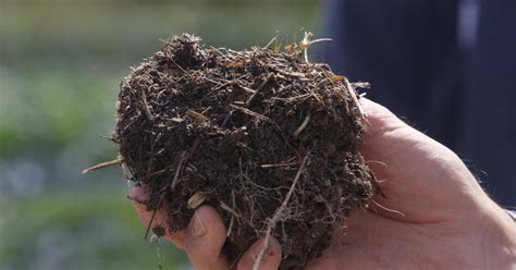 The Basics of Soil Fertility | Agricology