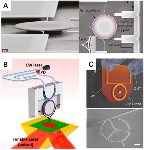 Cavity Optomechanical Sensing