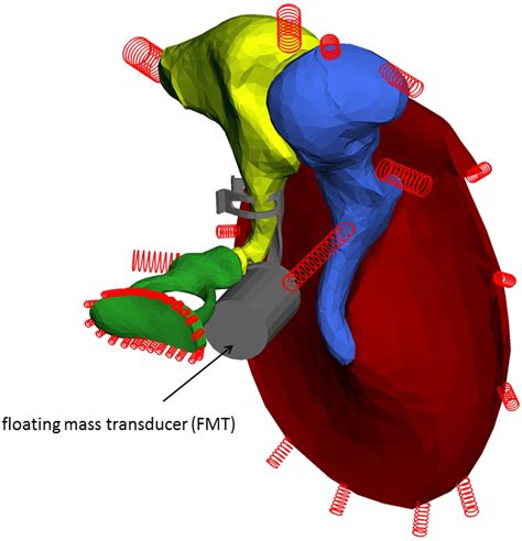 Materials Free Full Text Simulations And Measurements Of Human Middle Ear Vibrations Using