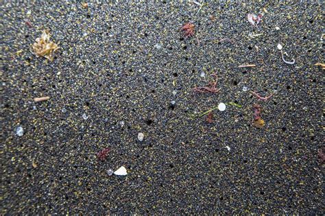 Plastic Planet How Tiny Plastic Particles Are Polluting Our Soil