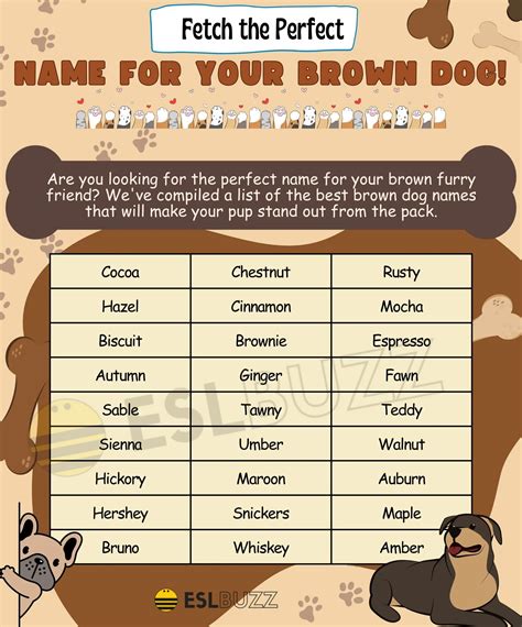 Dog Names for Brown Dogs - TnyPets