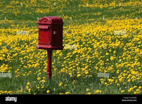 newspaper journal mailbox mailboxes newspaper journal bucolic mailbox ...