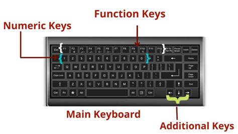 Input Devices of Computer