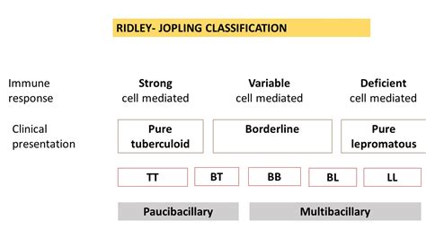 LEPROSY- Tuberculoid & Lepromatous | Pathology Made Simple