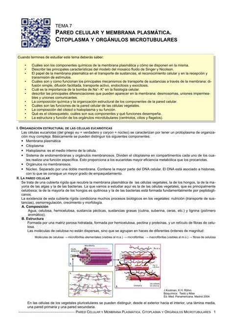 PDF Tema 7 Pared celular y membrana plasmática DOKUMEN TIPS