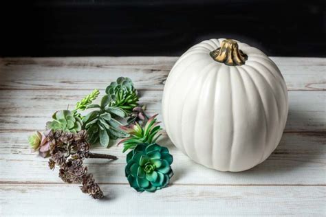 Faux Succulent Centerpiece Pumpkin Hearth And Vine