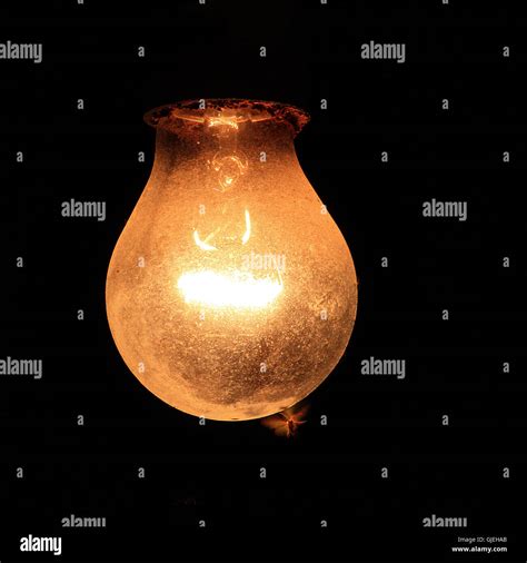 Moth light bulb hi-res stock photography and images - Alamy