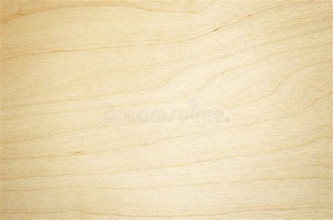 Lime Wood Stock Photo Image Of Texture Striped Linden 32240688