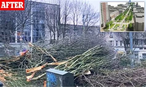 Fury As Council Chops Down Dozens Of Trees Under Cover Of Darkness