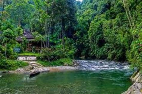 Sumatra Tour For School Bukit Lawang Tripadvisor