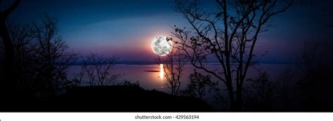 Full Moon Woods: Over 2,094 Royalty-Free Licensable Stock Photos ...