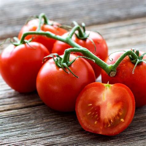 Large Red Cherry Tomato | Heirloom Vegetable | Florida Garden Seeds