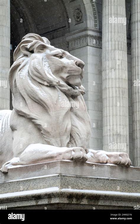 Lion in front of the New York Public Library in a Light Snowfall, 2922 ...