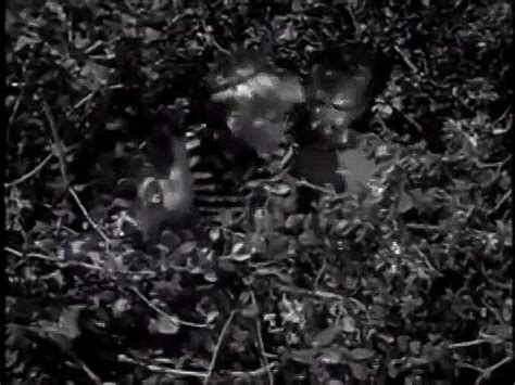 Watch 27561825386328636 Brazilian Babeshow Babes Babe Porn SpankBang