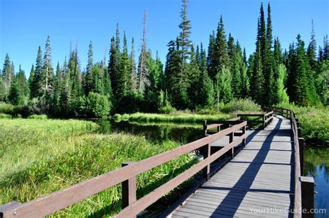 Silver Lake Interpretive Trail - Your Hike Guide