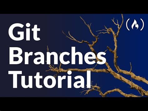 Free Video Git Branches Tutorial From FreeCodeCamp Class Central