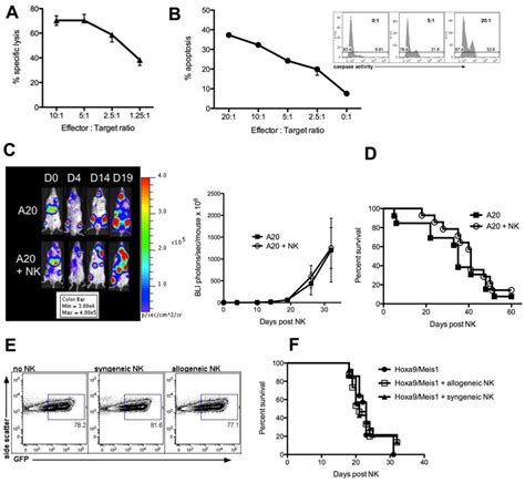 Adoptive Transfer Of Nk Cells Fails To Control The Growth Of Tumor