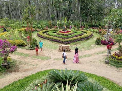 Tempat Wisata Taman Bunga Jember Nikmati Indahnya Keindahan Alam