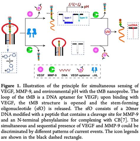 Anal Chem Dna Chem Station
