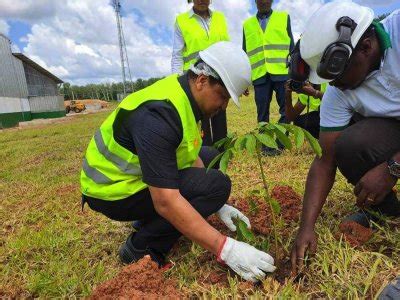 Soubré le Ministère en charge de lIndustrie procède à louverture de