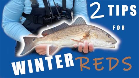 How To Catch Redfish In The Winter After A Cold Front Fishing