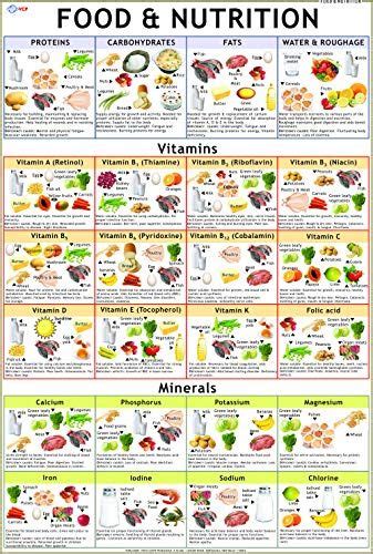 Food And Vitamin Chart 70 X 100 Cm Laminated By Vidya Chitr