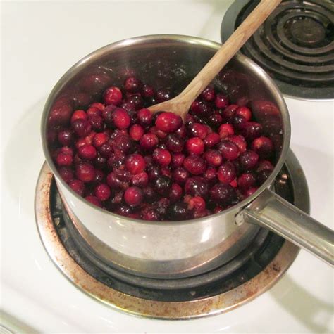 Bourbon Persimmon Cranberry Sauce 5 Steps With Pictures Instructables