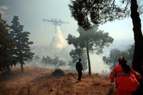 Emergenza Incendi Senza Fine Roghi Aumentati Del 400