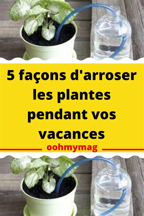 Trucs Et Astuces Pour Arroser Ses Plantes Pendant Les Vacances Artofit