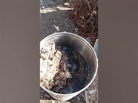 мешалка кардон бумага для брекетов - YouTube