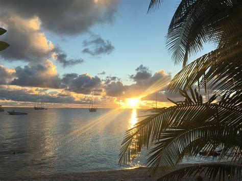 Croisiere Polynesie Bora Bora 2022 Qué Saber Antes De Ir Lo Más