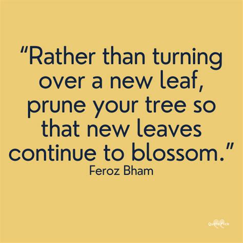 30 Leaf Quotes To Remind You Of The Beauty Of Nature