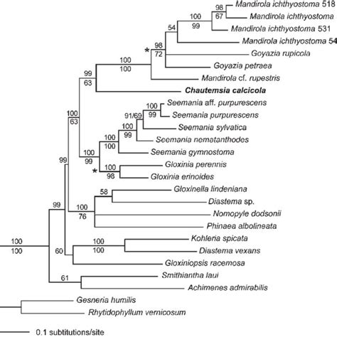 Bayesian Majority Rule Consensus Tree Resulting From The Combined